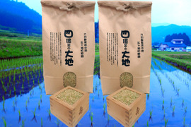 限定セール！四億年の大地米ヒノヒカリ　玄米5㎏×2個　2022年度