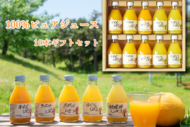【ギフト】【贈答に】和歌山産100%ストレートジュース飲み比べ(180ml×10本) 50710gi
