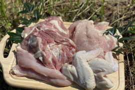 五島地鶏しまさざなみの種鶏「軍鶏」　ドンッ！とまるごと1羽分（約2㎏）