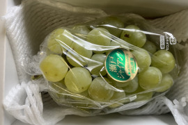 瀬戸ジャイアンツの通販｜ぶどう｜食べチョク｜産地直送(産直)お
