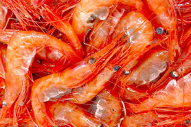 【-60冷凍】深海400mで獲れたあま〜い甘エビ！4P1200g