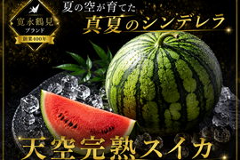 【女性に大人気の蜜シャリ食感】ご褒美時間を彩る至高の果実🍉 『天空完熟スイカ』極限天空栽培で生まれた唯一無二の寛永鶴見ブランドスイカ🍉【朝どれ】【限定50玉】【7月中旬予約】