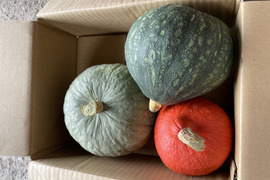 伝統かぼちゃ3種食べ比べセット