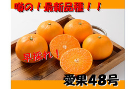 農家のつまみ食い　愛果48号(別名 紅ぷりんせす) ハヤドレ(早採れ)　約３キロ