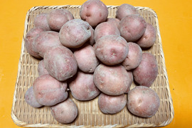 【訳あり】希少な自然栽培のジャガイモ【アンデスレッド】5kg（箱重量込）