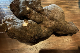 栄養満点！！「紫山芋」ダイジョ 1.5kg程度