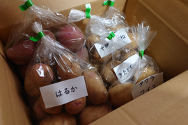 じゃがいも食べ比べセット【1.5㎏】
