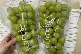 【贈答用】大房・大粒 山梨県産高級フルーツ シャインマスカット 一房1kg以上