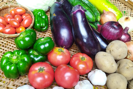 生き生き!夏野菜の詰め合わせ【5品目おまかせミニセット】