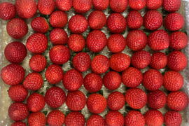 ★新商品★【希少あまりん】小粒500g🍓