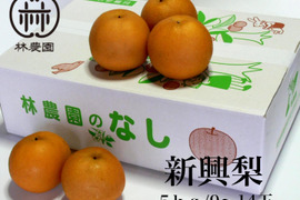 酸味と甘みのハーモニー　新興梨　約5kg(9～14玉)【ギフト・熨斗対応】