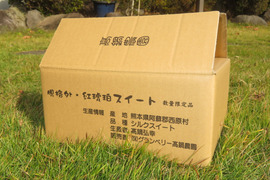 日本さつまいもサミット2024最高栄冠受賞・髙鍋農園ブランド”おいしさの極み”紅琥珀スイート®の訳あり商品です😋訳あり２㎏【阿蘇・西原産】限定5箱