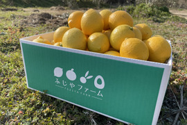 【有機JAS認証】オーガニックレモン5キロ（50個〜60個前後）極上の香りに癒されませんか？「今年もいよいよ始まります！！！」