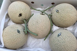 渥美半島産＊マスクメロン/５玉入
