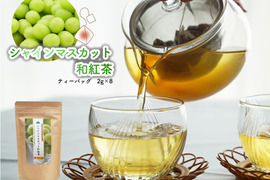 【人気急上昇】シャインマスカット和紅茶／2g×8 実質送料無料 松田製茶 猿島茶 フルーツティー フレーバーティー 日本茶インストラクターのいるお店 TBG-045