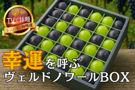【海外セレブさえも御用達】贈り物に選べば一目置かれる間違いなし！1年で今しか味わえない限定BOX💎敬老の日ギフトに最適！大切な人に贈る古来からの最高の縁起物『ヴェルドノワールBOX』【9月予約】