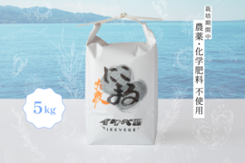 まくいーん様専用お米30㎏