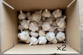 有機ニンニク9.6kg