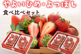 4パック｜贅沢いちごの食べ比べ！やよいひめ×2・よつぼし×2 合計1kg！
