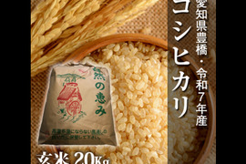 【節減対象農薬6割減】コシヒカリ 玄米20g【令和7年・愛知県産】