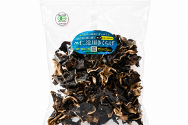 【有機JAS認証】仁淀川きくらげ 黒ホール100g｜肉厚ぷりぷり・高知県仁淀川町産