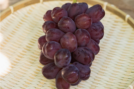 富士の輝の通販｜ぶどう｜食べチョク｜産地直送(産直)お取り寄せ通販