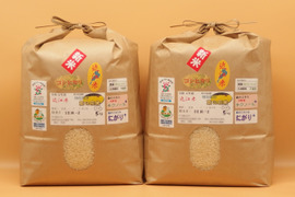 ✤令和4年産新米菜の花米✤白米20kg☆近江米コシヒカリ☆環境こだわり米