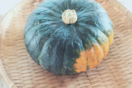 ブラックのジョー（約1.5kg 1-2玉 ） 漆黒の栗カボチャ【冬ギフト】