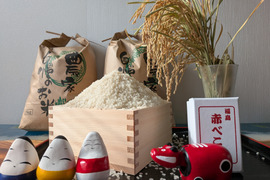 会津産　虹のきらめき　10キロ　（白米）
