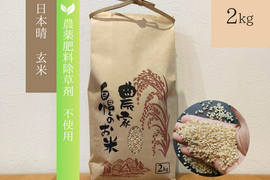 《農薬不使用・肥料除草剤不使用》お日さまたっぷりのお米『日本晴』【玄米】2kg・2025年和歌山県産