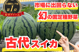 スイカの通販｜果物｜食べチョク｜産地直送(産直)お取り寄せ通販