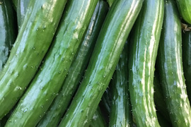 朝どり新鮮！！みずみずしい!
不揃いキズありきゅうり
       約4キロ