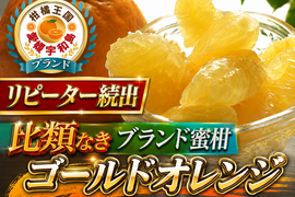 🍊やみつきリピーター続出🍊この時期しか食べられない国産柑橘類『ゴールドオレンジ』傾斜35度の崖上で収穫される希少な宇和島ブランド【お試しキャンペーン約1kg】【2027年4月中旬予約】