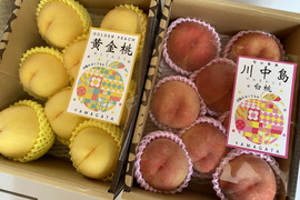旬を食べ比べ‼️山形県産川中島白桃と黄金桃【2キロ2箱セット】