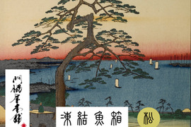 門脇屋本舗の凍結魚箱【松】【高級魚主体×5種】【処理済】【冷凍】