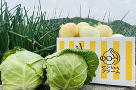 【超期間限定！】グリーンボール２玉＆新玉ねぎ５キロセット