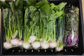 ✨【訳アリ・先着1名様のみ限定販売】農薬・化成肥料不使用の旬のお野菜5品セット✨