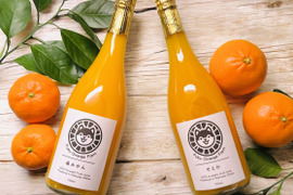 【注いだら最後、止まらない】福みかんジュース+せとかジュース｜愛媛・西宇和産