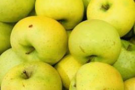 シナノゴールド家庭用（約５㎏）
信州長野生まれのサクサク黄りんご　
形やキズ、大きさなどで贈答用になれなかったりんごたちをバラ詰めでお届け