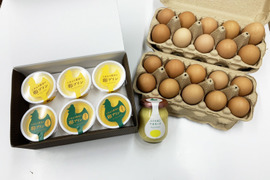 ★貴重な地鶏★テトテヲ超買得パック(卵20個、プリン2種✕3個、おまけにマヨ！)
