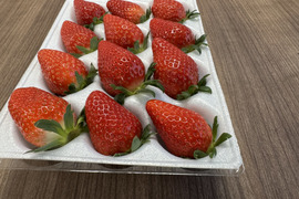 JGAP認証・千葉県産かおりのセット(2パック入り)