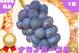 ナガノパープル5kg 詰み落としバラ粒【冷蔵発送】2024-20