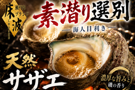 【個数限定】🐟素潜り選別一択🐟目利き漁師が海底で厳選長州床波ブランド『天然国産サザエ』約1㎏【2027年1月中旬予約】