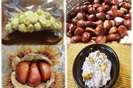 【６０日氷温熟成】糖度2倍以上の筑波栗　農薬不使用 むき栗真空パック冷凍