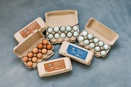 【30個×2種類】平飼い 青い卵と赤い卵の食べ比べ60個セット！