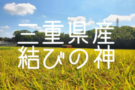 令和6年産 三重県ブランド米 結びの神 5kg 精米   みえの安心食材認定