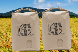 《令和8年産新米》新潟県弥彦村産　コシヒカリ玄米 20kg