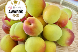 朝もぎたて！ 紀州南高梅 完熟梅 梅干し用 1kg 【特別栽培】 訳あり