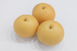 100年に一度の品種？！「大天梨」約2kg