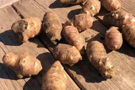 キクイモの通販｜野菜｜食べチョク｜産地直送(産直)お取り寄せ